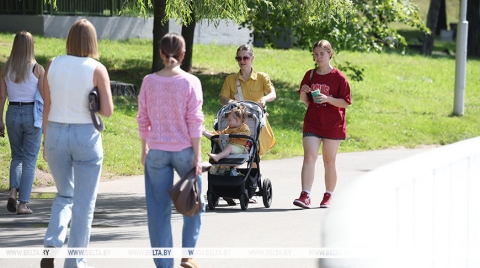 Изменение законодательства и внедрение ИИ. Как Белстат готовится к переписи населения