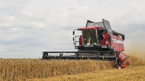 Аграрии Могилевской области намолотили 1219 тыс. млн тонн зерна