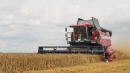 Аграрии Могилевской области намолотили 1219 тыс. млн тонн зерна