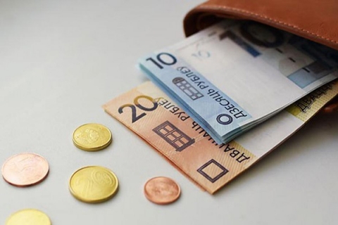 Средняя зарплата в Беларуси в ноябре составила Br1648,2
