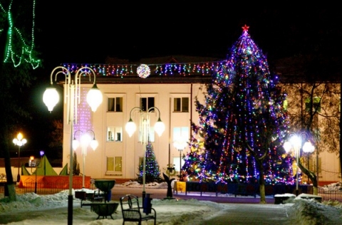 Главную елку Климовичей доставят из Милославичского лесничества