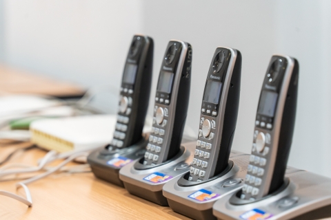 Прямые телефонные линии пройдут в Могилевской области 31 января