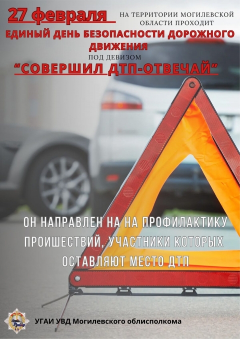 ЕДИНЫЙ ДЕНЬ БЕЗОПАСНОСТИ ДОРОЖНОГО ДВИЖЕНИЯ &laquo;Совершил ДТП - отвечай!&raquo;