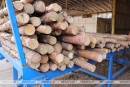 Более $120 млн заработали лесхозы с&nbsp;начала года на&nbsp;экспорте продукции