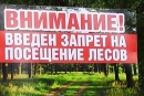 Запреты и ограничения на посещение лесов введены в 91 районе Беларуси