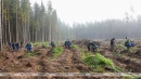 Акция "Дай лесу новае жыццё!" пройдет в Беларуси с 17 по 24 октября
