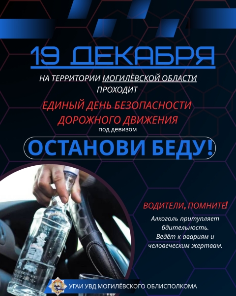 ЕДИНЫЙ ДЕНЬ БЕЗОПАСНОСТИ  ДОРОЖНОГО ДВИЖЕНИЯ &laquo;Останови беду!&raquo; (19 декабря 2025 года)