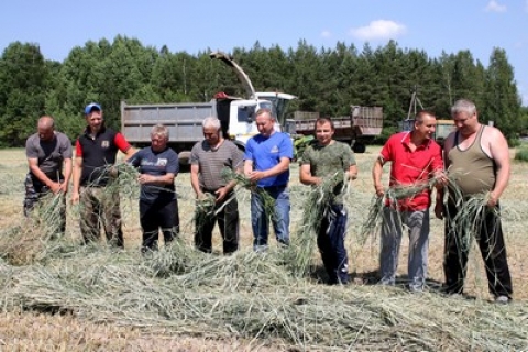 В филиале ОАО «Климовичский комбинат хлебопродуктов» «Нива-Агро» идет кормозаготовка