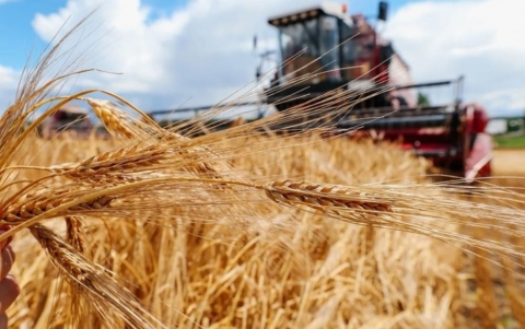 Белорусские аграрии намолотили 4 млн тонн зерна